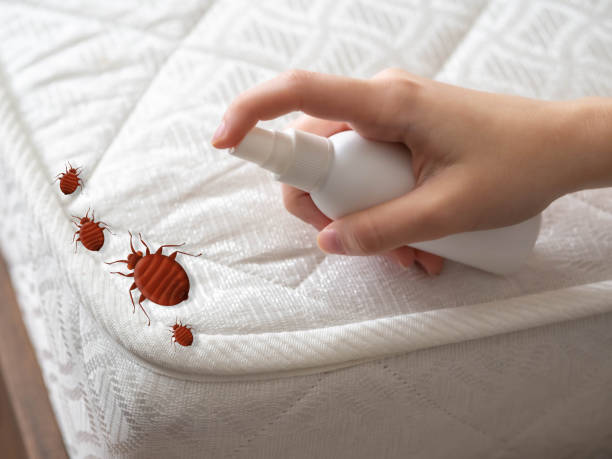 Best Emergency Pest Control  in Kingston Estates, NJ